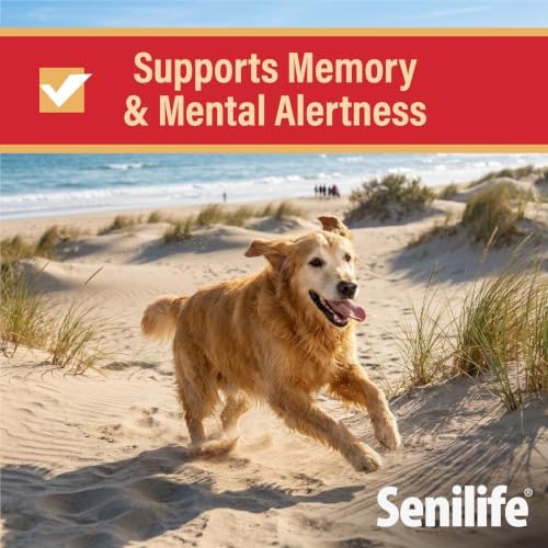 Senilife Cognitive Support Capsules for Senior Dogs, Brain Health & Cognitive Function Supplement, Supports Memory & Mental Alertness, 30 Capsules - Image 3