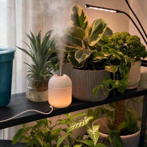 Humidifier Small, 8.45OZ USB Portable Mini Humidifier with Color Night Light, Auto Shut-Off Quiet Desktop Cool Mist Humidifier for Bedroom, Office, Car, Travel, Indoor Plants, Baby Room - Image 5