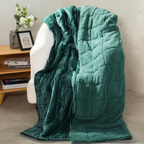 Aemicion Fleece Sherpa Twin Weighted Blanket 15lbs for Adults, Fluffy Soft Warm 48 x 72in Weighted Blanket, Throw Blanket as Birthday Gifts for Teens Women Man Mom-Green by Aemicion
