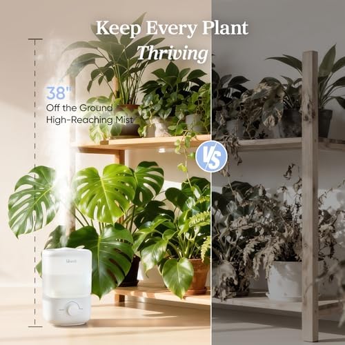 Levoit Top Fill Humidifiers for Bedroom, 2.5L Tank for Large Room, 28dB - Image 4