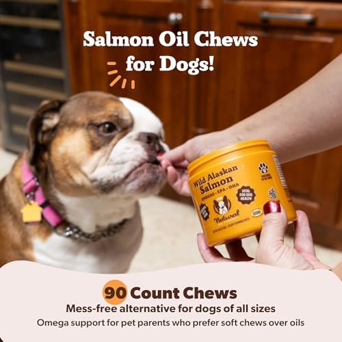 Natural Dog Company Wild Alaskan Salmon Chews for Dogs – Fish Oil Supplement with EPA & DHA for Itchy Skin, Coat, Brain, Joints & Immune Health, Daily Omega-3 Chews, 90 Count - Image 4