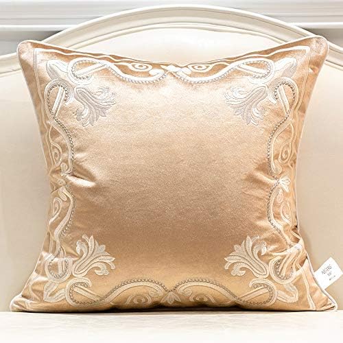 Avigers Throw Pillow Cover 20 x 20 Inch, Beige, Velvet, Hidden Zipper by Avigers
