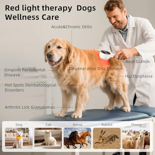 Handheld Red Light Therapy Device with Pulse Mode, 3 Wavelengths Infrared & Near Infrared Light Therapy for Body, Knee, Shoulder, Back, Joints & Muscles, 5 Core Modes, Safe for Humans and Pets - Image 3