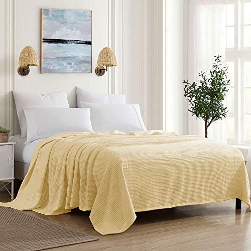 100% Fine Cotton Blanket Luxurious Weave Stylish Design Soft and Comfortable All Season Warmth, King, Lemon(Pack of 6) by SweetHomeCollection
