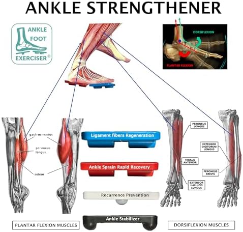 Ankle Foot Exerciser® Ankle Strengthener for ankle sprain relief, Foot Strengthener for plantar fasciitis; Ankle mobility, Posture corrector, Proprioception - Image 3