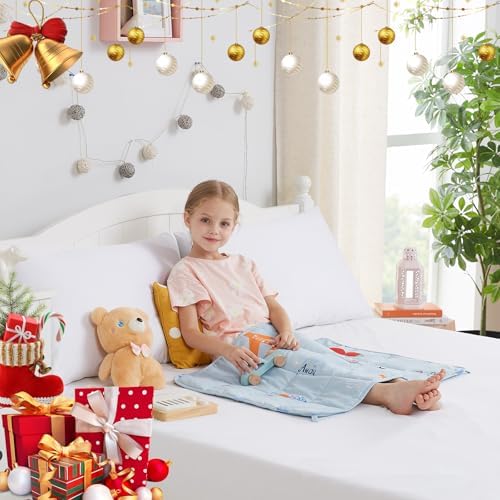 Weighted Blanket 3lbs Small Weighted Lap Pad Gifts, 20"x30" Airplane - Image 7
