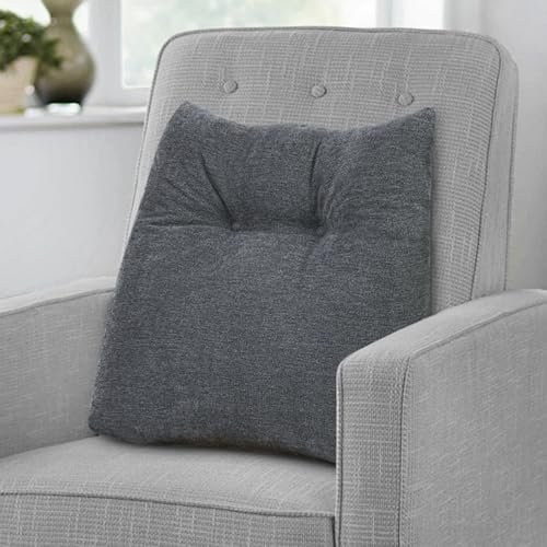Shinnwa Lumbar Support Pillow for Office Chair, Memory Foam Back Support Pillow for Back Pain Relief, Car, Chair and Couch, 17.5x15x4.5in, Charcoal by Shinnwa