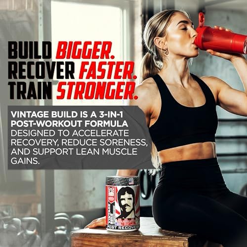Old School Labs Vintage Build Post-Workout Recovery Powder, Fresh Berries - Image 3