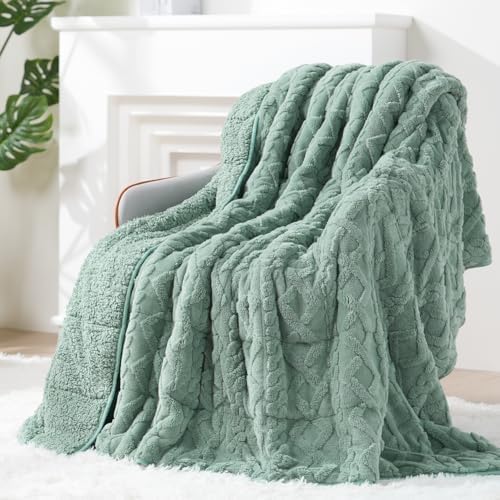 Ultra Soft Sherpa Weighted Blanket for Adults, 48"x72" 15lbs Heavy Blankets by EazfyPro