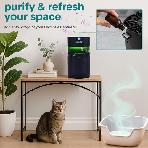 SereneLife Portable Air Purifier | Small Air Purifier For Home, Allergies, Pet Hair & Bedrooms | Filter Change Reminder & Aroma Box | Filtration Removes Dust, & Smoke Odor | Timer & Sleep Mode | Black - Image 4