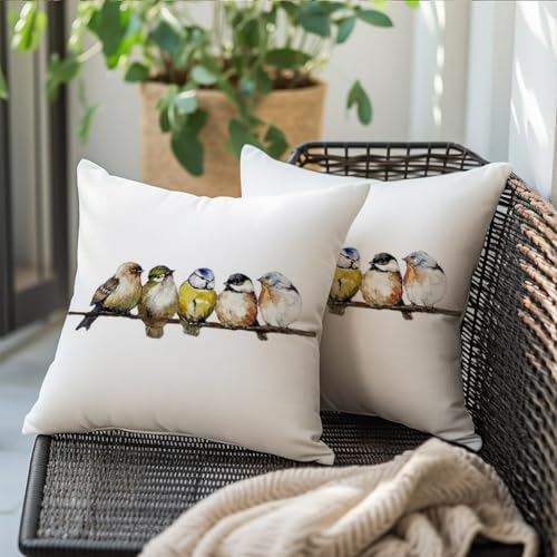RABUSOFA Watercolor Birds Pillows Decorative Throw Pillows 18x18,Hand-Painted Oil Painting Rustic Birds Square Pillow Cases,Cute Colorful Spring Summer Decorations for Home Couch Sofa Outdoor - Image 4