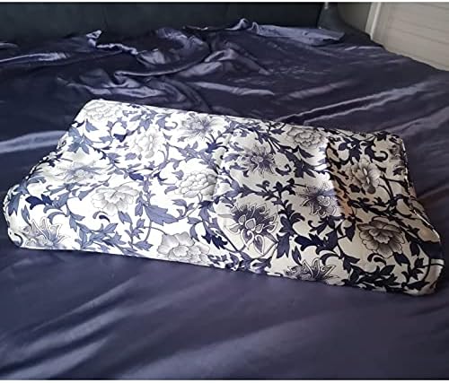 Silk Pillowcase for Memory Foam, Neck, and Cervical Pillows - Pure Mulberry Silk Case for Contour Pillow (Blue and White, 21" x 14.5" x 4.9"/4.2") by Cozysilk%7CBringNatureHome
