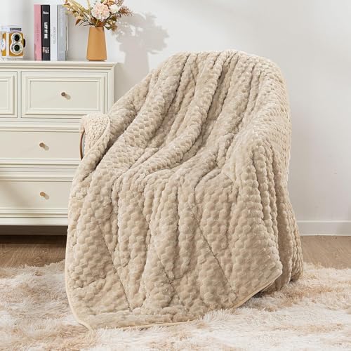 Mr. Sandman Weighted Blankets for Adults, Queen Size 60 x 80 Inches, 20lbs by MrSandman