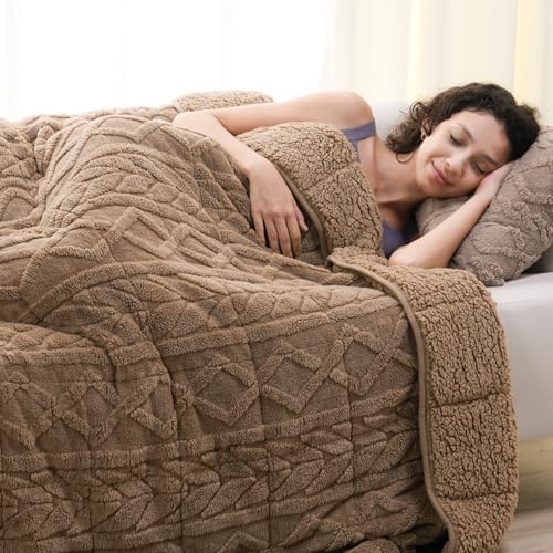 Cottonblue Weighted Blanket for Adults Queen Size 17lbs 60x80in Soft Fleece by Cottonblue