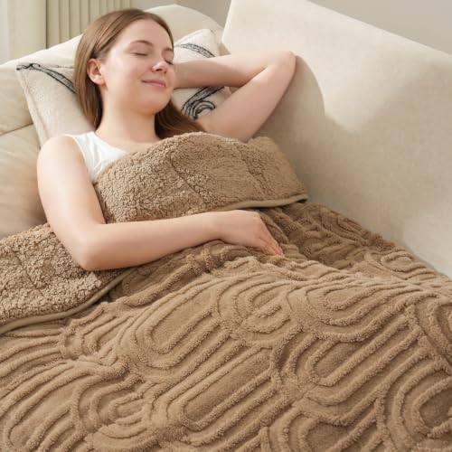 Drewin Weighted Blanket Queen Size for Adults 15lbs,Brown,48" x 72" by Home