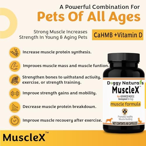 MuscleX™ Canine Muscle Formula Dogs with CaHMB 500 mg and Vitamin D3 - Natural Muscl Building Formula - Helps Reduce Muscle Loss Due to Normal Aging and Improves Recovery from Injury (180 Capsules) - Image 4
