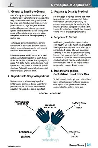 Massage Therapy - Image 5