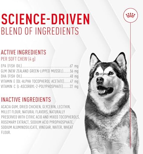 Royal Canin Joint Dog Supplement Soft Chews for Adult Dogs, 60 Count (Pack of 2) - Image 5