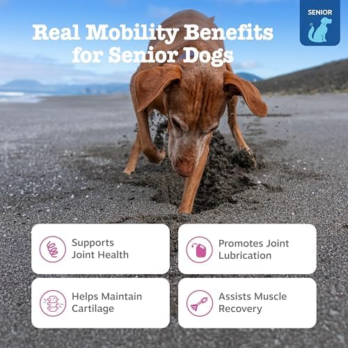Zesty Paws Mobility Bites Joint Supplement for Dogs - Soft Chews with Glucosamine for Dogs, Chondroitin, & MSM + Vitamins C and E - Adv Chicken - 90 Count (Pack of 2) - Image 2