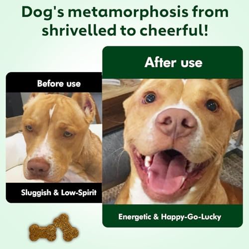 NMN Supplement for Dogs NAD+ Booster - Anti-Aging & Longevity - Image 5