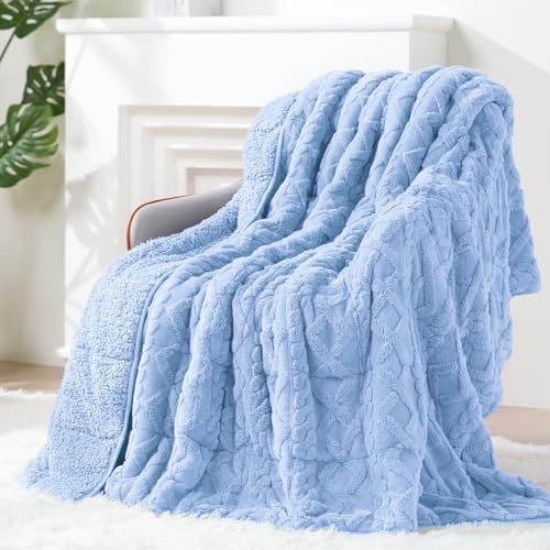 Ultra Soft Sherpa Weighted Blanket for Adults, 60"x80" 15lbs Heavy Blankets by EazfyPro