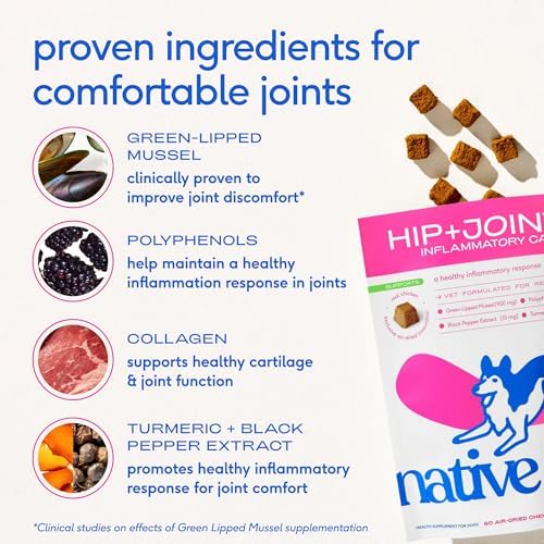 Native Pet Inflammatory Care - Pain Relief for Dogs - Green-Lipped Mussel, Turmeric & Collagen for Dogs - Hip and Joint Supplement Supports Healthy Inflammatory Response & Joint Comfort - 120 Chews - Image 4