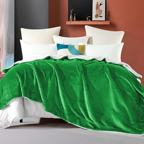 Elegant Comfort Ultra Soft Reversible Flannel Sherpa Blanket - Cozy Silky Fleece Throw for Couch, Bed - Plush Fuzzy Warm Winter Blanket for Gift, Queen, Emerald Green - Image 2