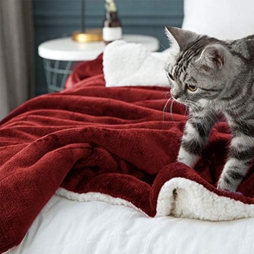 LBRO2M Sherpa Fleece Bed Blanket Super Soft Plush Warm Throw Queen 90"X90" - Image 5