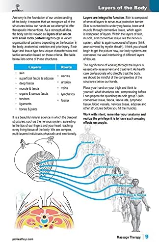 Massage Therapy - Image 4