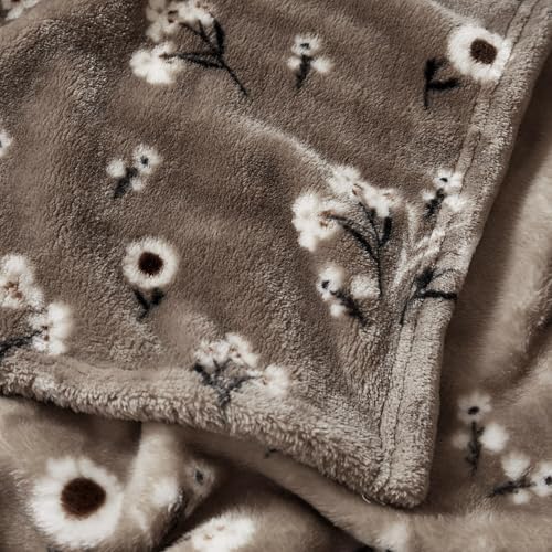 Lucky Brand Daisy Beige Floral 66"X90" Cozy Plush Blanket - Premium Microfiber Throw for Luxurious Comfort and Style Twin/Twin XL Size - Image 3
