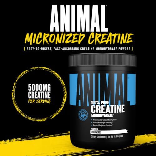 Animal Creatine Monoydrate Powder for Men & Women | Unflavored 300g - Image 2