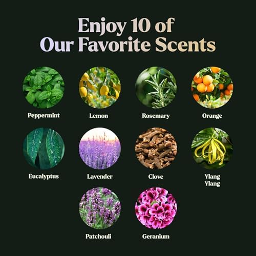 Essential Oils Set - Top 10 Gift Set Blends for Fragrance, Diffusers, Humidifiers, Aromatherapy, Cars & Home Products, Room Sprays, Candle Making, Yoga - Fragrance Oils for Botanical Fresheners Making - Image 5