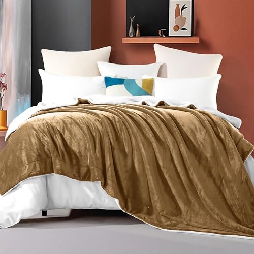 Elegant Comfort Ultra Soft Reversible Flannel Sherpa Blanket - Cozy Silky Fleece Throw for Couch, Bed - Plush Fuzzy Warm Winter Blanket for Gift, Twin, Taupe - Image 2