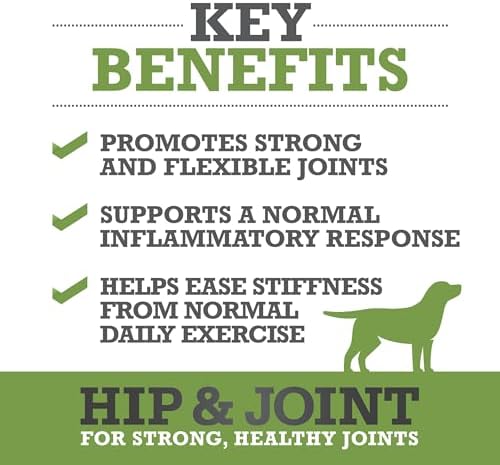 WINPRO Hip & Joint Supplement for Dogs Plasma Powered Soft Chews for Joint Health & Mobility Fast-Acting with Collagen & Natural Ingredients for Dogs of All Breeds – 120 Chews (2 Canisters) - Image 3