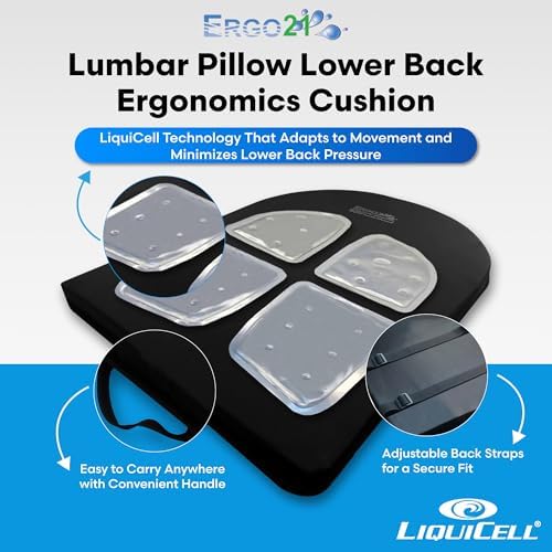 ERGO21 Lumbar Pillow Lower Back Support Cushion for Back Rest, Good Posture, Spine Pain, Long Sitting Hours at Chair, Office, Car Seat, Wheelchair, Large (18" W x 24”x 1.5”) - Image 2