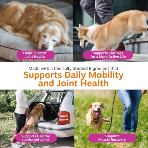 Zesty Paws Glucosamine for Dogs - Senior Dog Joint Supplement, Chicken 90ct - Image 5