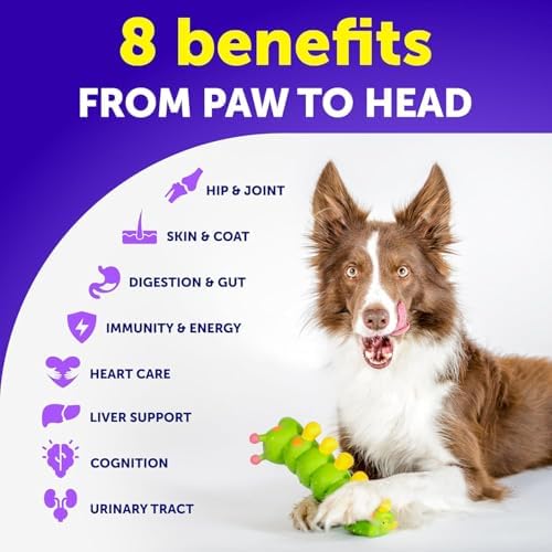 Dog Vitamins - 120 Treats - Dog Multivitamin Supplement - 26 in 1 Nutrients - Image 3