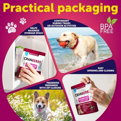 Cranberry Chews for Dogs - Dog Cranberry Supplement for Urinary Health - Image 5