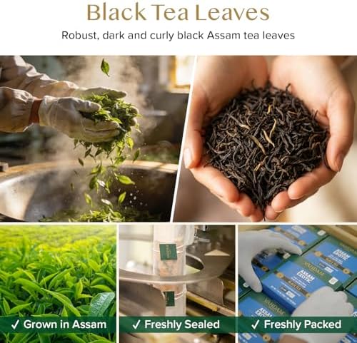 VAHDAM Assam Black Tea Bags(100 Count) Assam Exotic Tea in Pyramid Tea Bags - Image 2