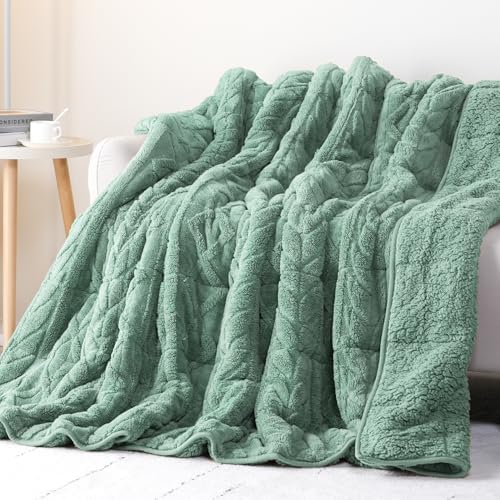 Cottonblue Jacquard Weighted Blanket for Adults Queen Size 20 lbs 60x80 in by Cottonblue