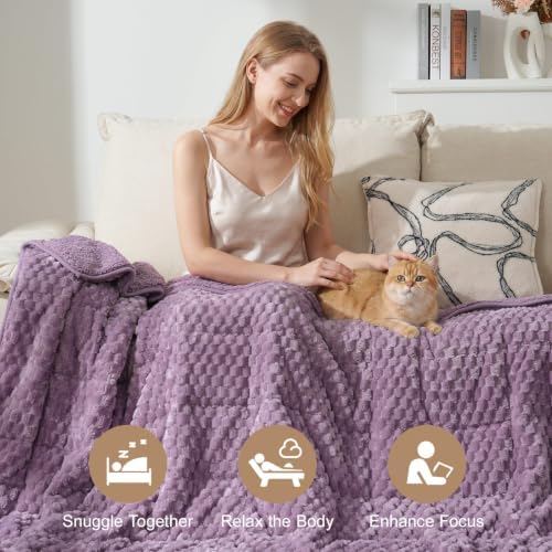Cottonblue Weighted Blanket for Adult Queen Size 15lbs 60"x80", Soft Fleece - Image 2