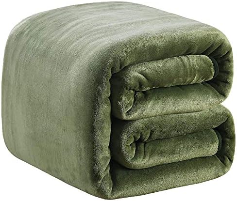 Polar Fleece Blankets Travel Size for The Bed Extra Soft Brush Fabric Super Warm Sofa Blanket 50" x 61"(Green Travel) by RICHAVE