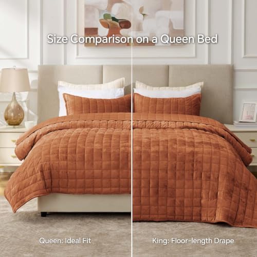 BEDELITE Velvet Quilt Set Queen Size, Luxury Velvet Comforter Bedding - Image 6