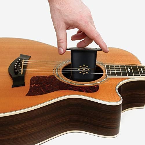 D'Addario Acoustic Guitar Soundhole Humidifier - Image 2