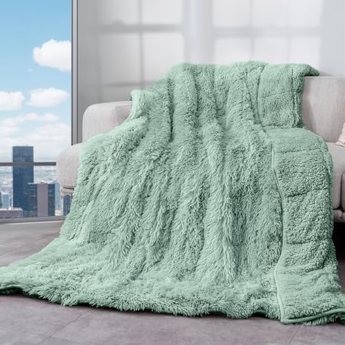 Cottonblue Weighted Blanket 20lbs for Adults Queen Size 60x80in Soft Sherpa by Cottonblue