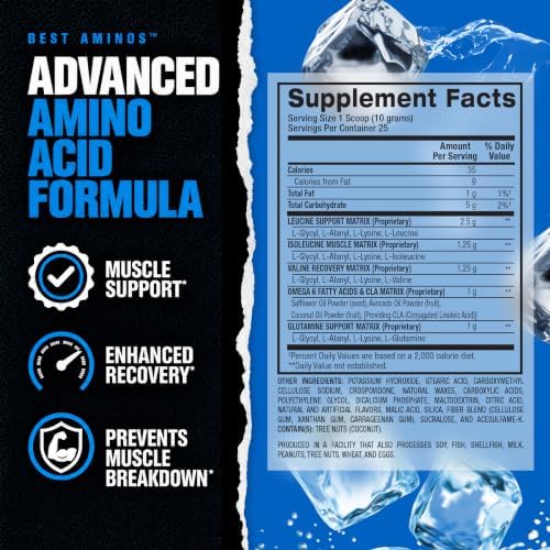 BPI Sports Best Aminos - BCAA Powder Post Workout & Glutamine Recovery Drink with Branched Chain Amino Acids for Hydration & Recovery, for Men & Women - Arctic Ice - 25 Servings - Image 2