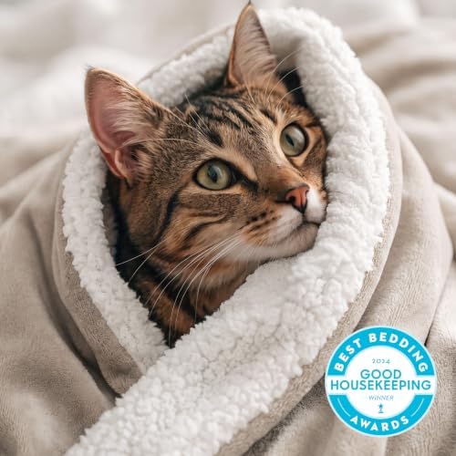 Bedsure GentleSoft Sherpa Fleece Blanket Queen Size for Bed, Non-Heated, Thick and Warm Throw for Women and Men, Soft Fuzzy Plush Queen Blanket for Winter, Beige, 90x90 Inches - Image 2