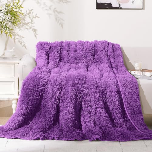 Cottonblue Weighted Blanket 20lbs Queen Size 60x80 inches Soft Sherpa Plush by Cottonblue