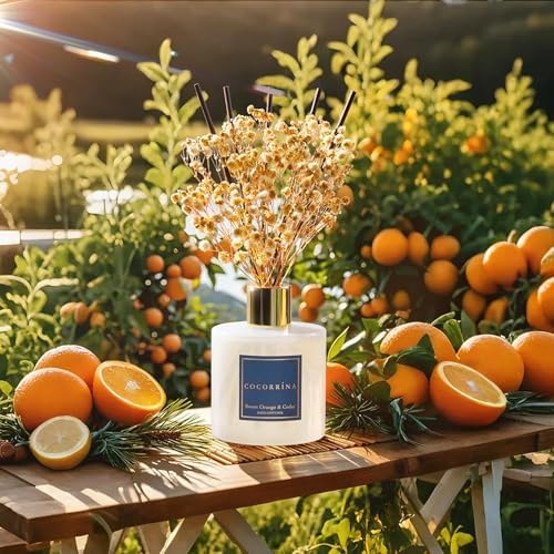 COCORRÍNA Reed Diffuser - Sweet Orange & Cedar 6.7 Fl.oz Reed Diffuser Set with Sticks & Preserved Baby's Breath, Reed Diffuser for Home Bathroom Shelf Decor - Image 4