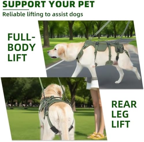 PUPTECK Dog Lift Harness for Medium Large Sized Dog, Rehabilitation Sling for Hind Leg Support, Multifunctional Mobility Assistance Harness for Old, Disabled, Joint Injuries, Paralysis Dogs, Green M - Image 2